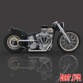 Cadbike #1