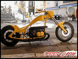 Norton