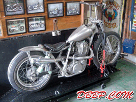 Norton